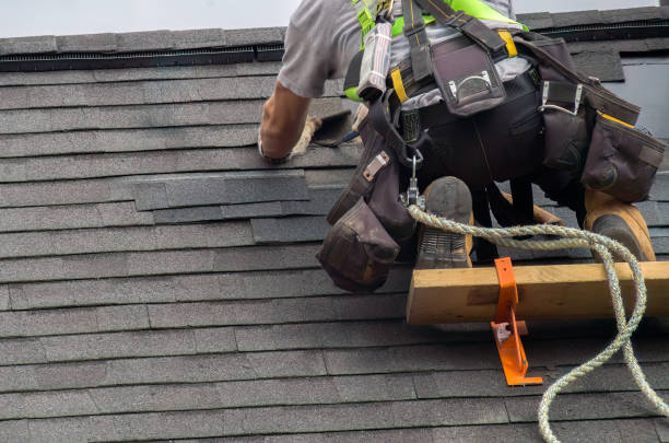 Best Roof Maintenance Services  in Hoback, WY