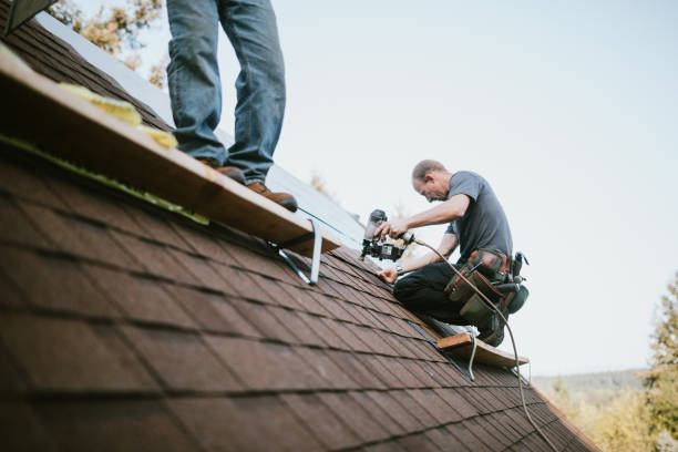 Best Roofing Contractor Near Me  in Hoback, WY
